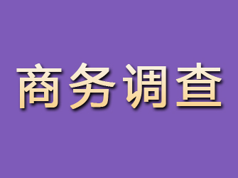 岢岚商务调查